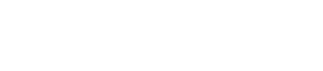 Zwilling